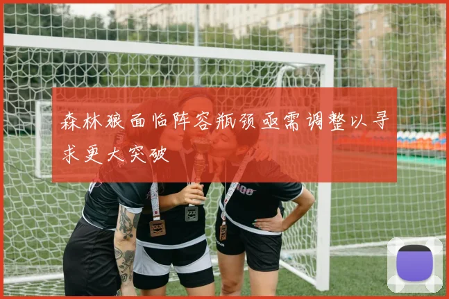 森林狼面临阵容瓶颈亟需调整以寻求更大突破